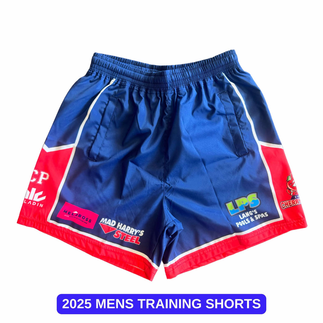 2025 Mens Training Shorts